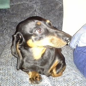 Meet your Posher, Kelly